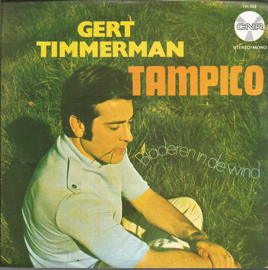 Gert Timmerman - Tamico 18513 Vinyl Singles Vinyl Very Good (VG) <br> Hoes Good Plus (G+)