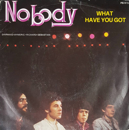 Nobody - What Have You Got 21544 Vinyl Singles Goede Staat