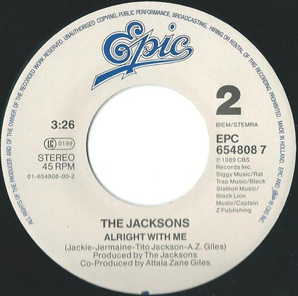 Jacksons - Nothin (That Compares 2 U) 39616 Vinyl Singles Goede Staat