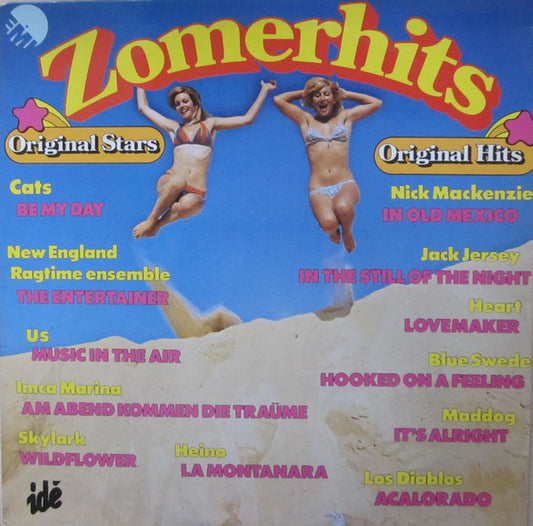 Various - Zomerhits (LP) 43738 Vinyl LP Goede Staat