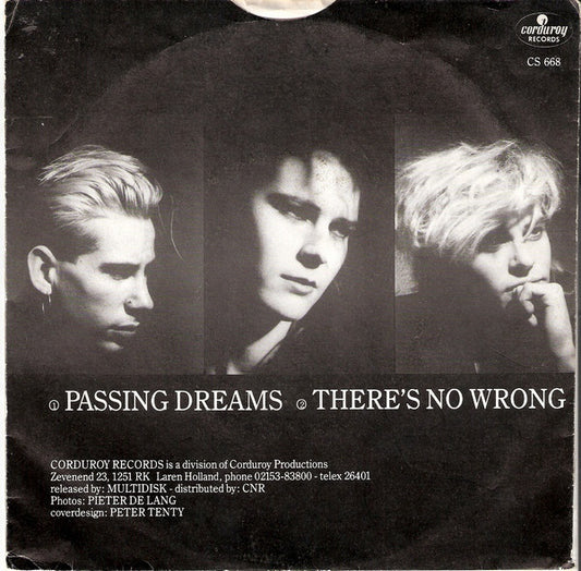Viva Voce - Passing Dreams 22666 Vinyl Singles Vinyl Zeer Goed / Hoesje Goed "VINYLSINGLES.NL"