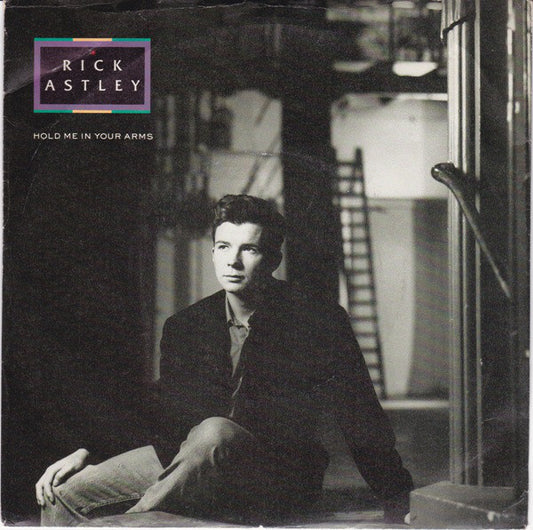 Rick Astley - Hold Me In Your Arms 01361 Vinyl Singles Goede Staat