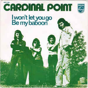 Cardinal Point - I Won't Let You Go 17995 Vinyl Singles VINYLSINGLES.NL