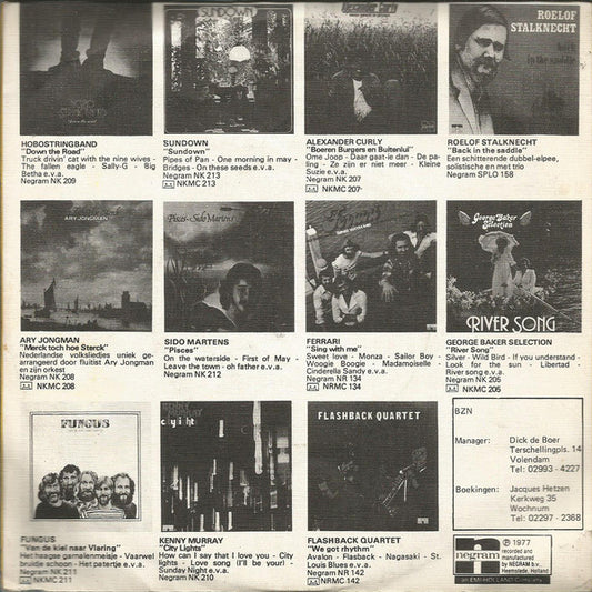 BZN - Don't Say Goodbye 26542 Vinyl Singles Vinyl Zeer Goed / Hoesje Goed "VINYLSINGLES.NL"