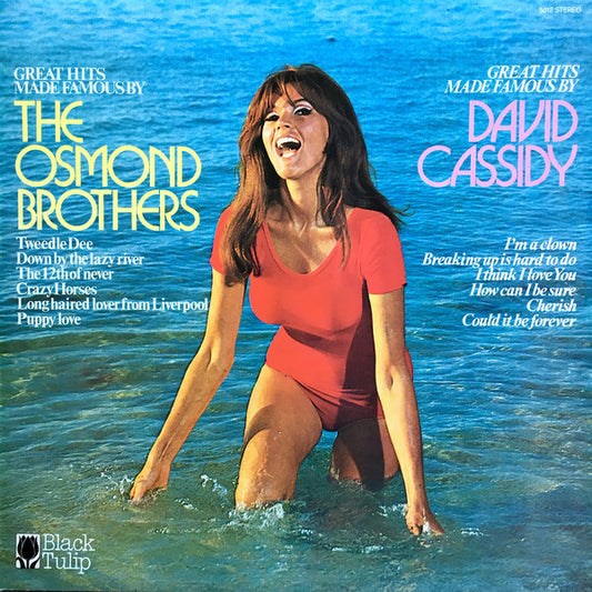 Unknown Artist - Great Hits Made Famous By The Osmond Brothers, David Cassidy (LP) Vinyl LP Vinyl Very Good (VG) <br> Hoes Good Plus (G+)