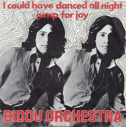 Biddu Orchestra - I Could Have Danced All Night 16779 Vinyl Singles Goede Staat