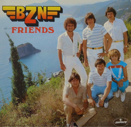BZN - Friends (LP) 42193 42596 49282 Vinyl LP VINYLSINGLES.NL