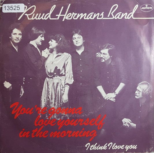 Ruud Hermans Band - You're Gonna Love Yourself In The Morning Vinyl Singles Vinyl Very Good (VG) <br> Hoes Good Plus (G+)